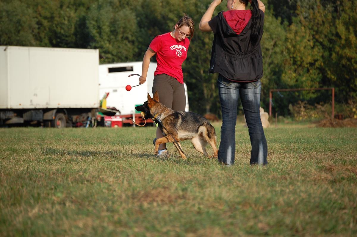 DSC_0246.jpg