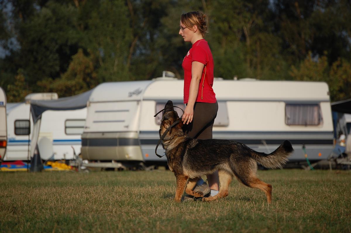 DSC_0248.jpg
