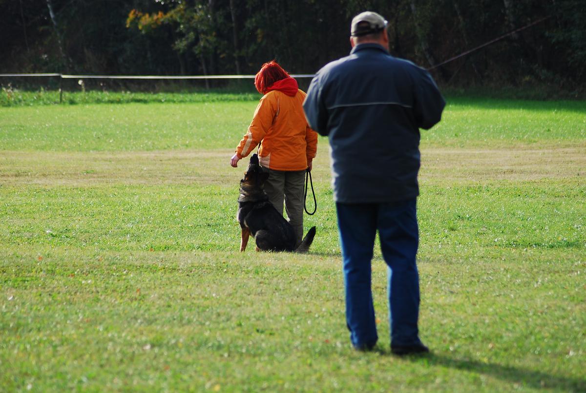 DSC_0222.jpg