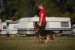 DSC_0248.jpg